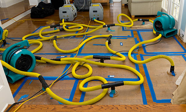 Professional Flood Damage Restoration technician working in Colchester, CT